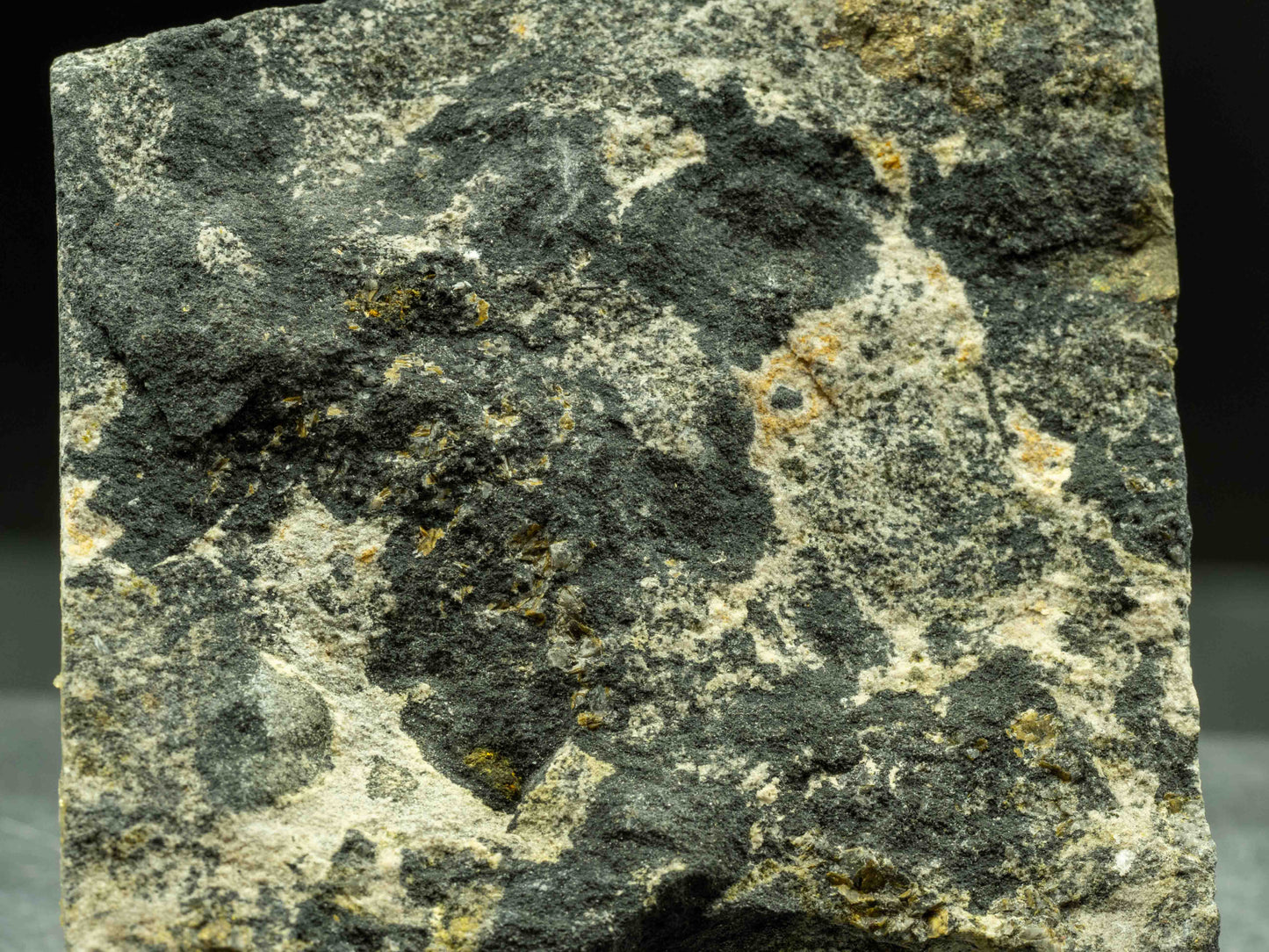 Uraninite Drill Core - Moab Area, Utah, USA