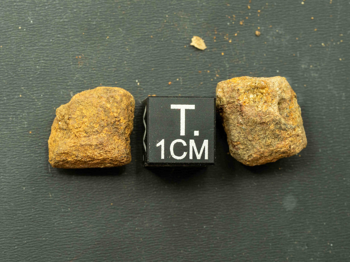 Thorite Crystal - Kemp Prospect, Cardiff, Ontario, Canada