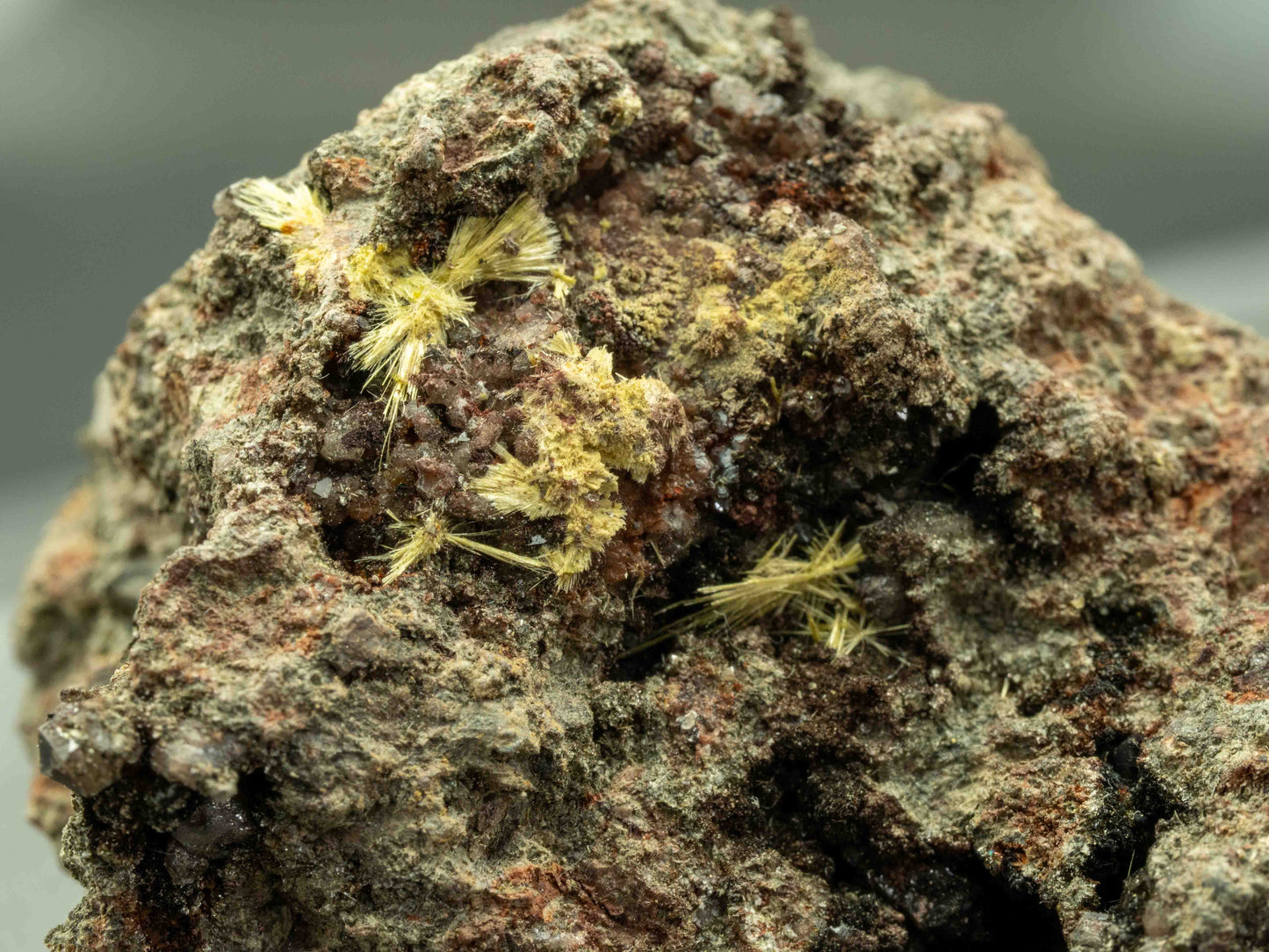 Uranophane - Madawaska Mine (Faraday Mine), Faraday Township, Hastings County, Ontario, Canada