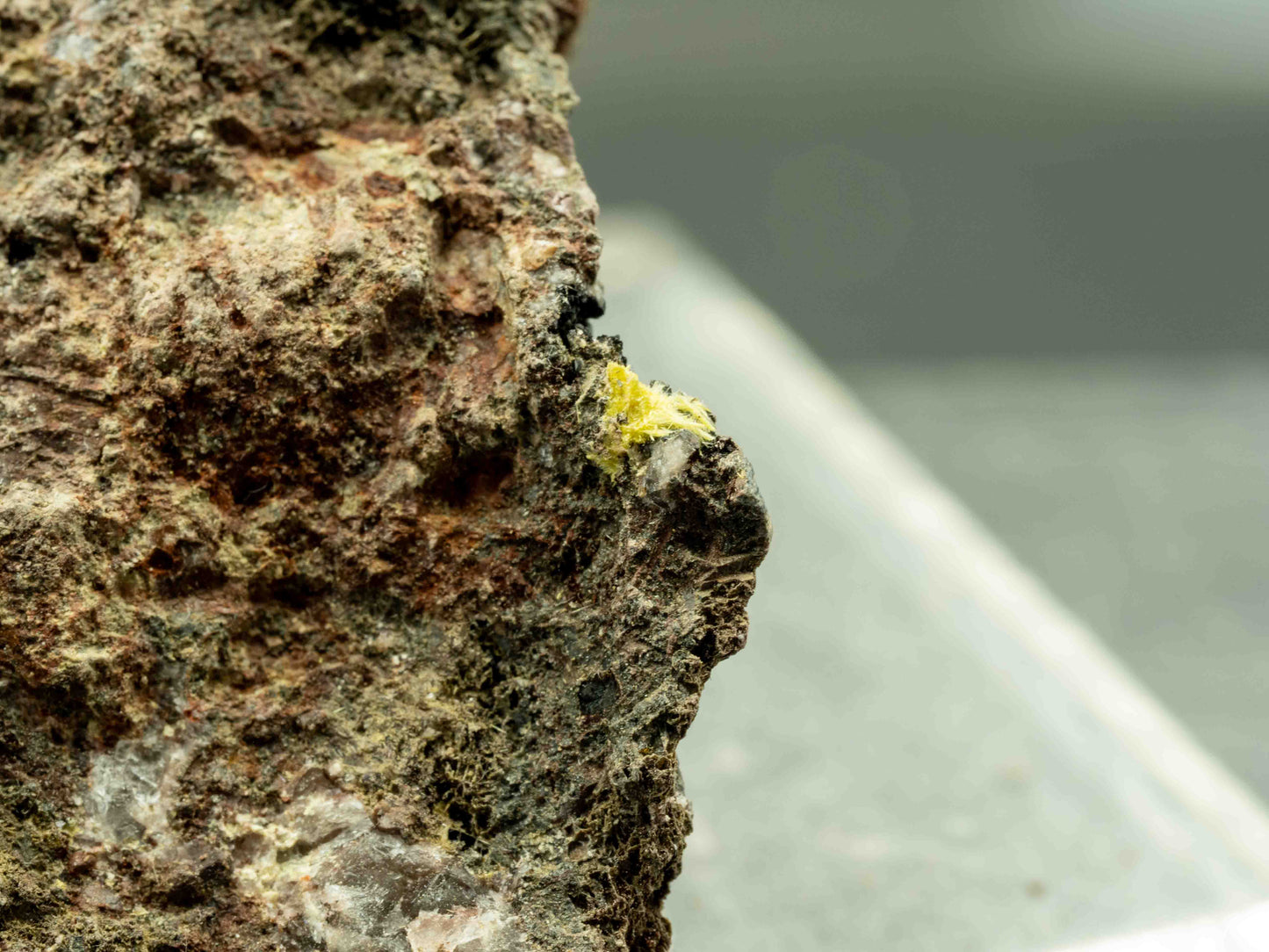 Uranophane - Madawaska Mine (Faraday Mine), Faraday Township, Hastings County, Ontario, Canada