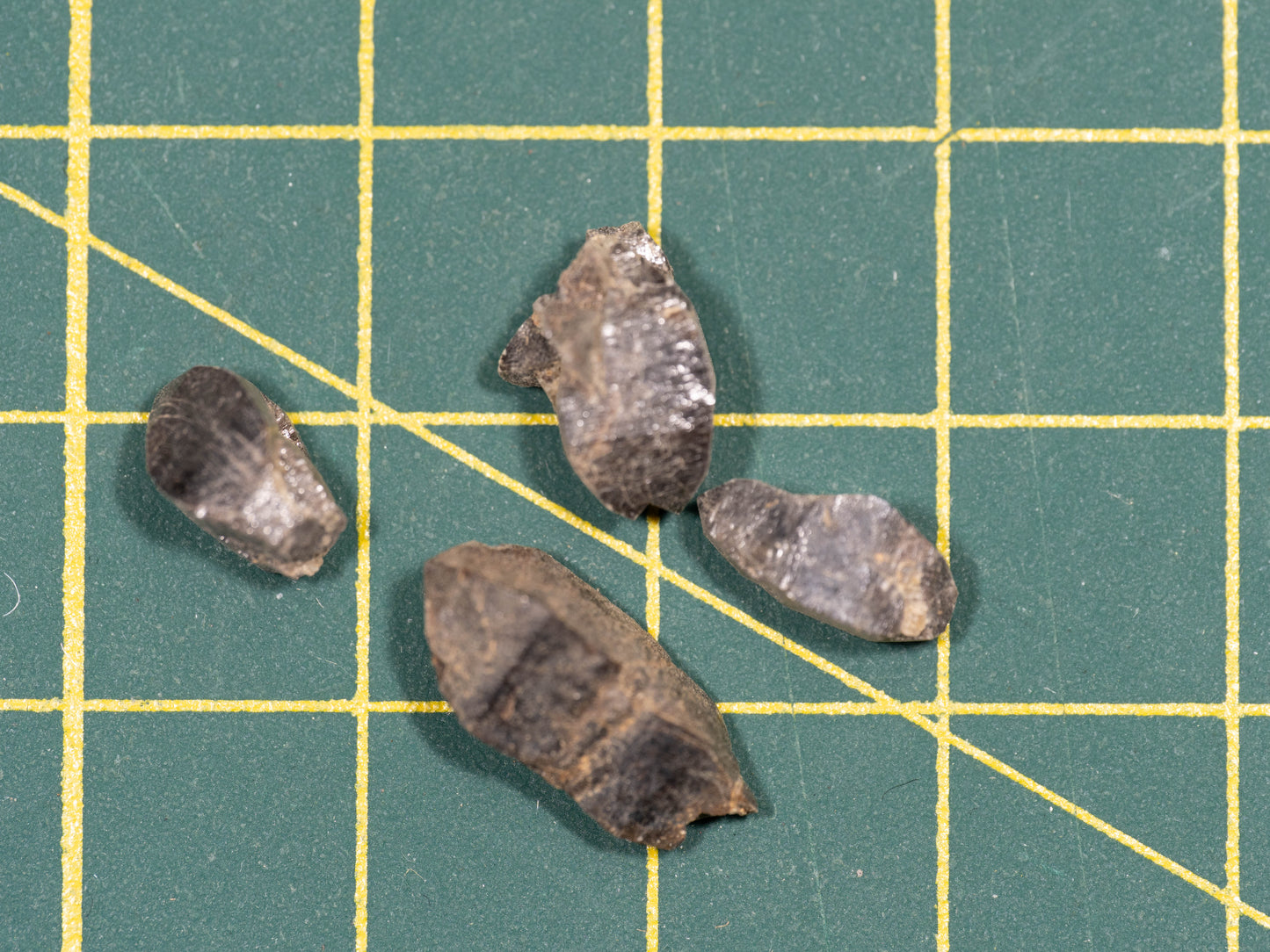 Crytolite Zircon - Saranac Properties, Hastings County, Ontario, Canada