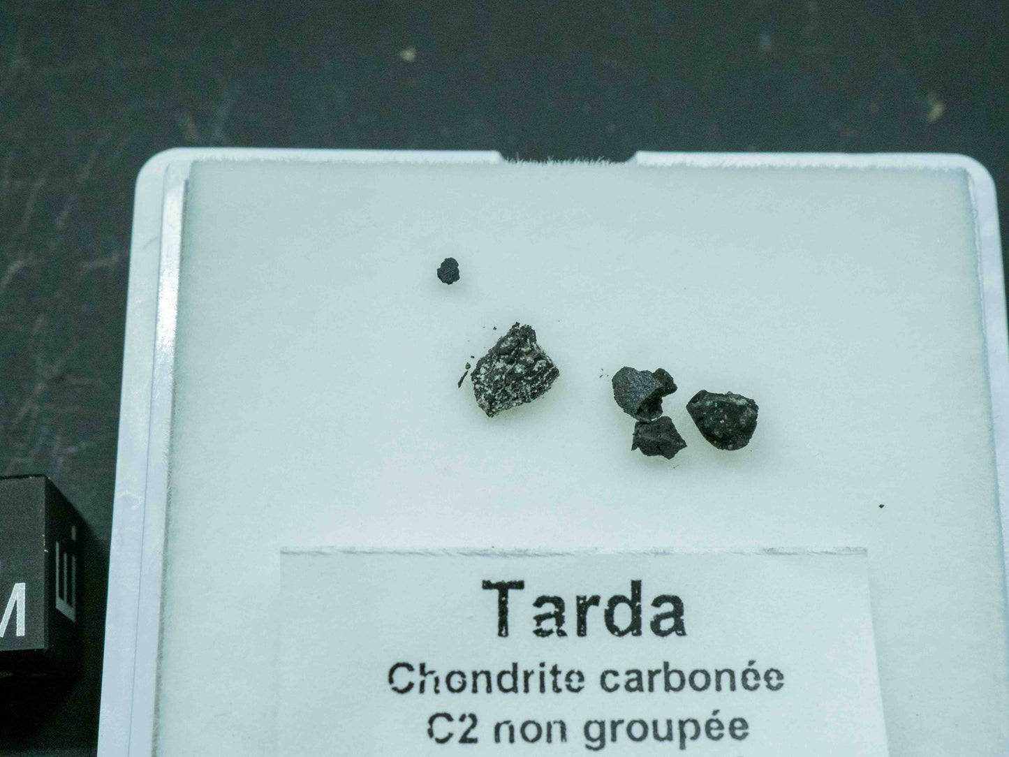 Tarda — C2 Ungrouped Carbonaceous Chondrite (0.10 grams)
