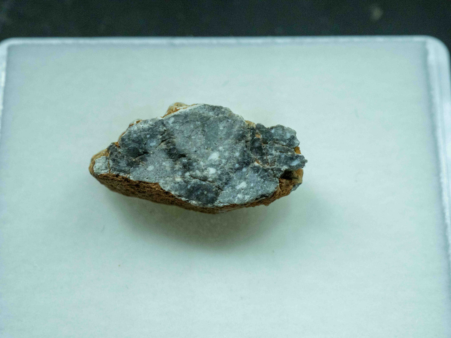 Gadamis 005 - Lunar Meteorite (Ferroan Anorthosite, Cataclastic) (