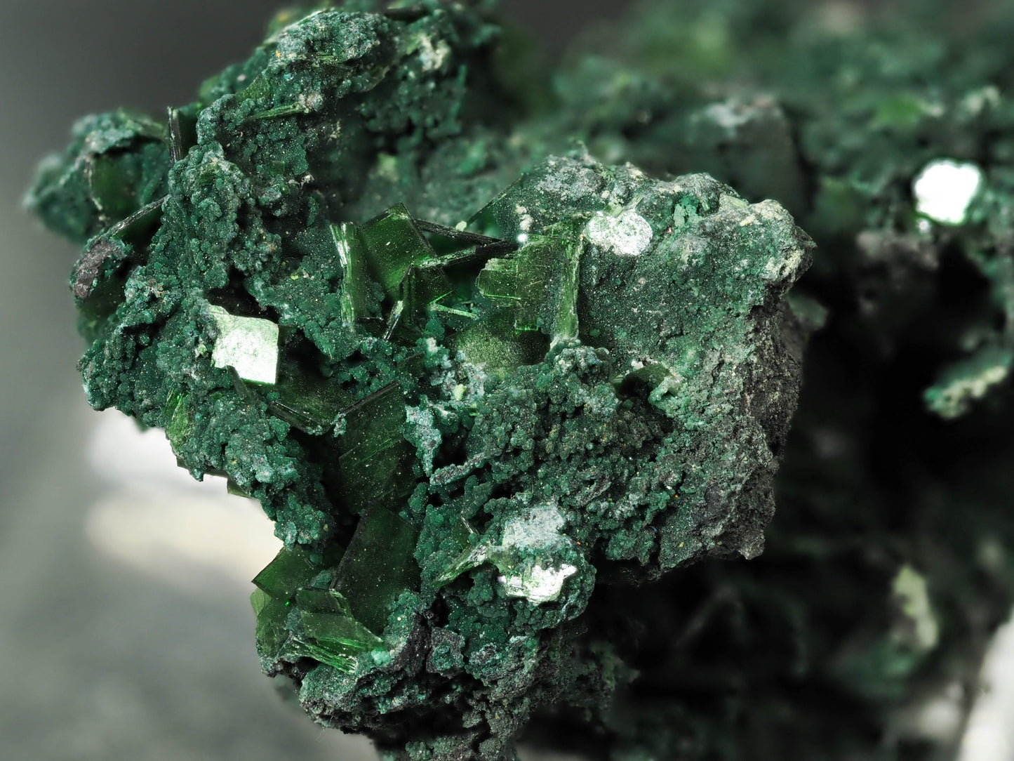 Metatorbernite - Musonoi Mine, Musonoi Mine, Kolwezi, Mutshatsha, Lualaba, DR Congo