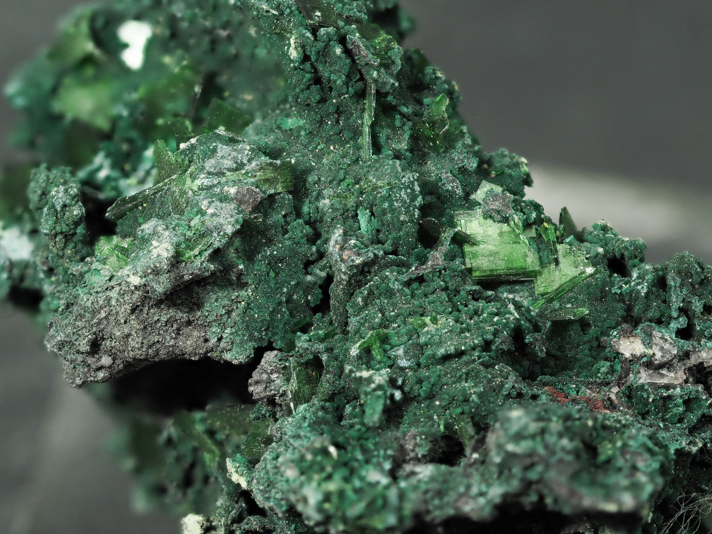 Metatorbernite - Musonoi Mine, Musonoi Mine, Kolwezi, Mutshatsha, Lualaba, DR Congo