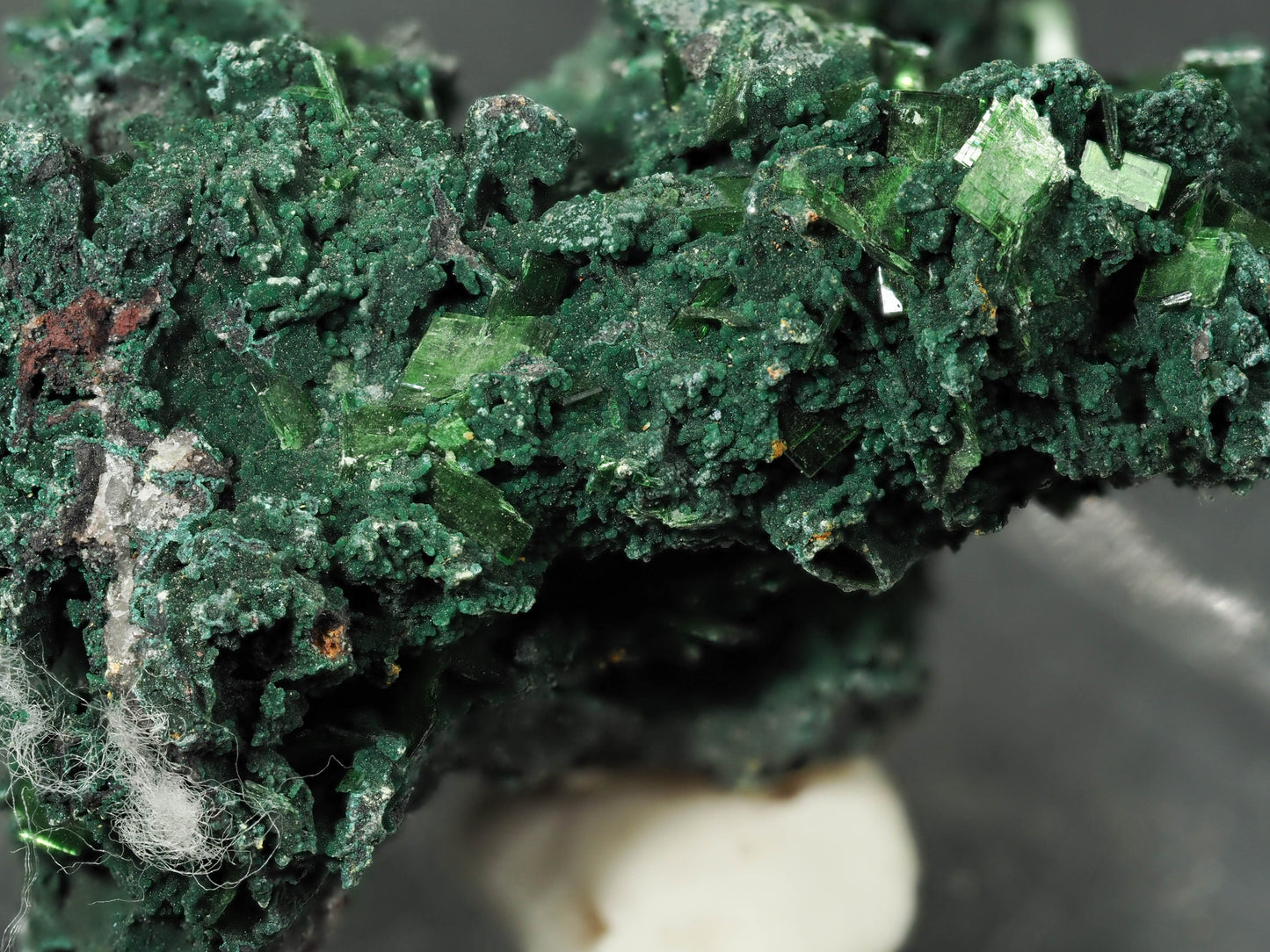 Metatorbernite - Musonoi Mine, Musonoi Mine, Kolwezi, Mutshatsha, Lualaba, DR Congo