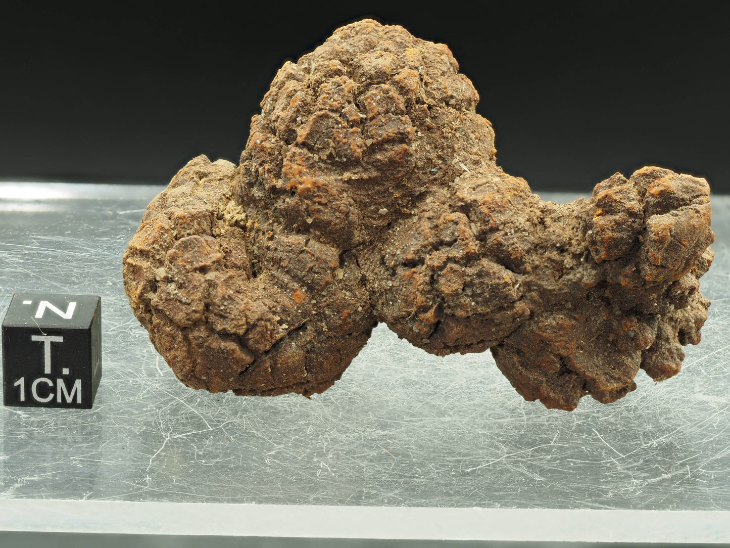 Coprolite (Fossilized Turtle Dung) - Besiboko, Mahajanga, Madagascar
