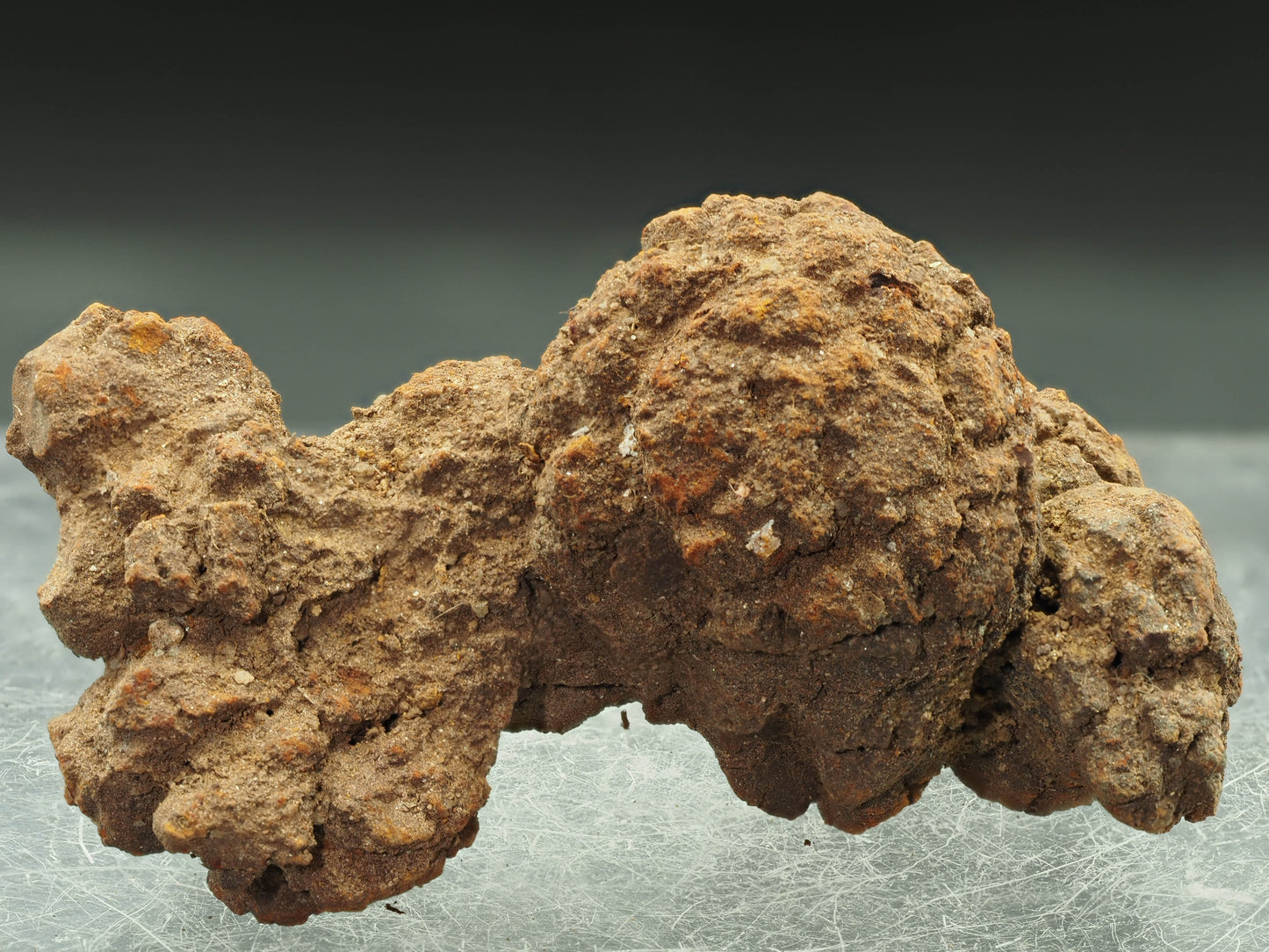 Coprolite (Fossilized Turtle Dung) - Besiboko, Mahajanga, Madagascar