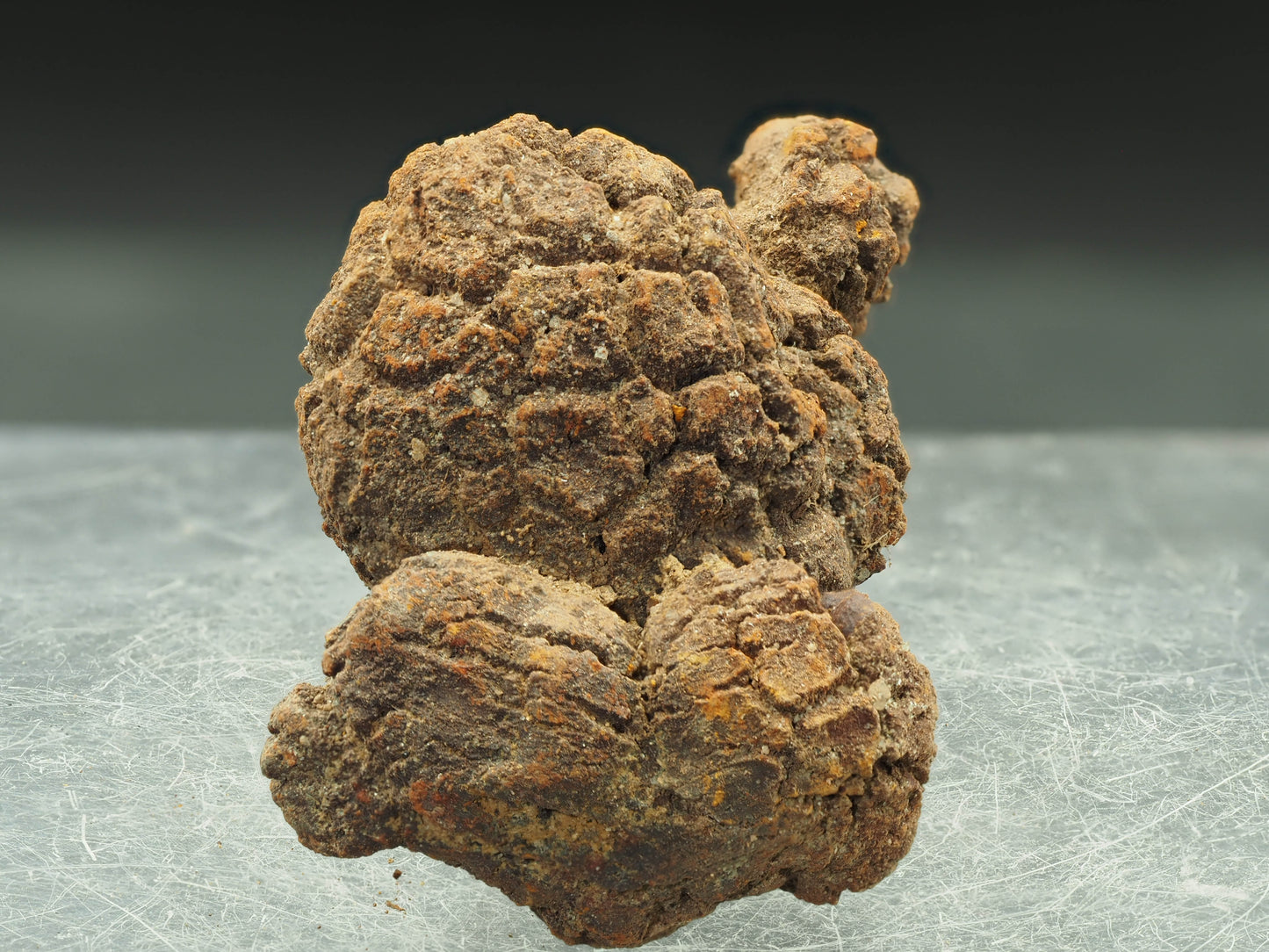 Coprolite (Fossilized Turtle Dung) - Besiboko, Mahajanga, Madagascar