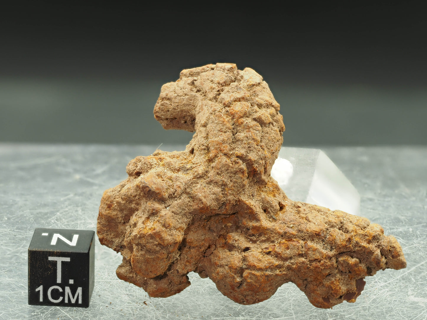 Coprolite (Fossilized Turtle Dung) - Besiboko, Mahajanga, Madagascar