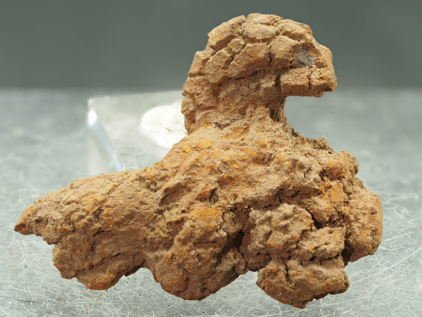 Coprolite (Fossilized Turtle Dung) - Besiboko, Mahajanga, Madagascar