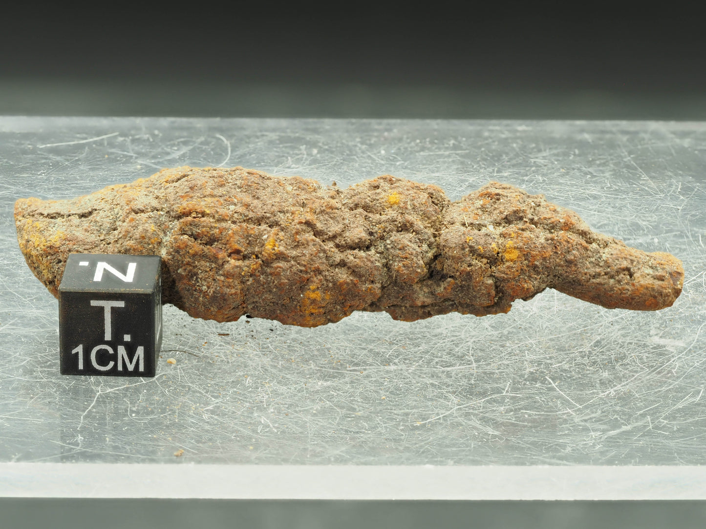 Coprolite (Fossilized Turtle Dung) - Besiboko, Mahajanga, Madagascar