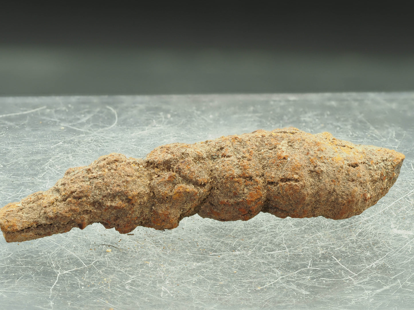 Coprolite (Fossilized Turtle Dung) - Besiboko, Mahajanga, Madagascar