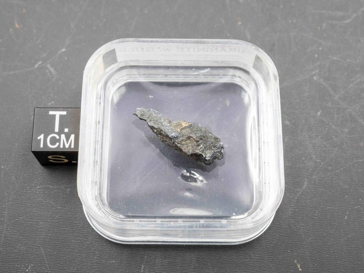 Uraninite Thumbnail with Minor Gold - Shinkolobwe Mine, DRC