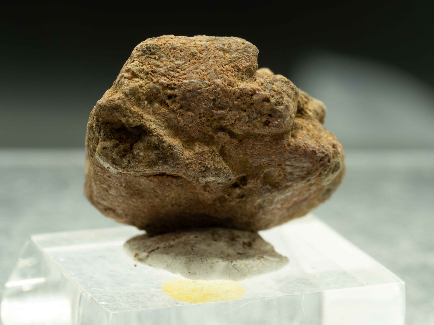 Thorite Crystal - Kemp Prospect, Cardiff, Ontario, Canada