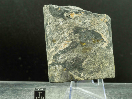 Uraninite Drill Core - Moab Area, Utah, USA