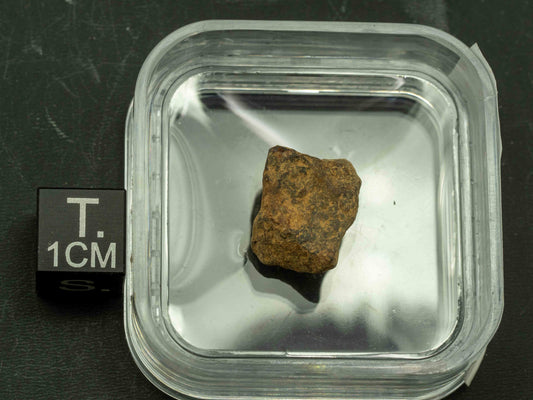 Meteorite - Agoudal (Iron - IIAB) 4.6 grams