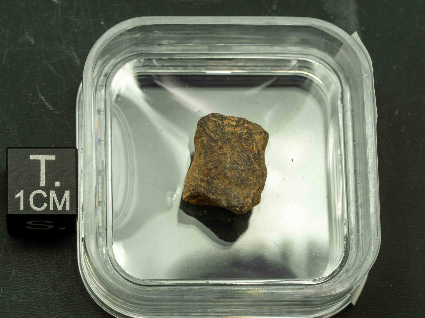 Meteorite - Agoudal (Iron - IIAB) 4.6 grams