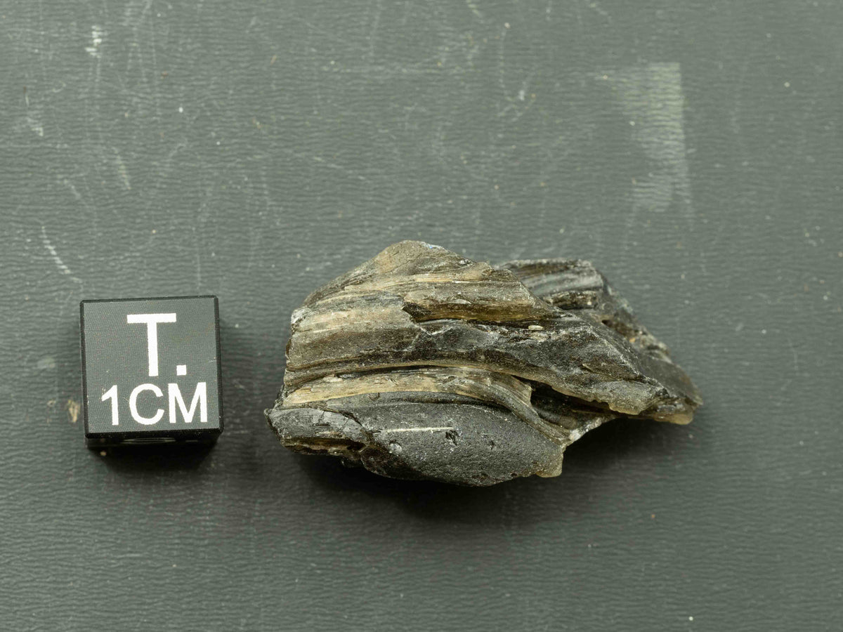 Darwin Crater Impact Glass (6.30 g) - Darwin, Queenstown district, West Coast municipality, Tasmania, Australia