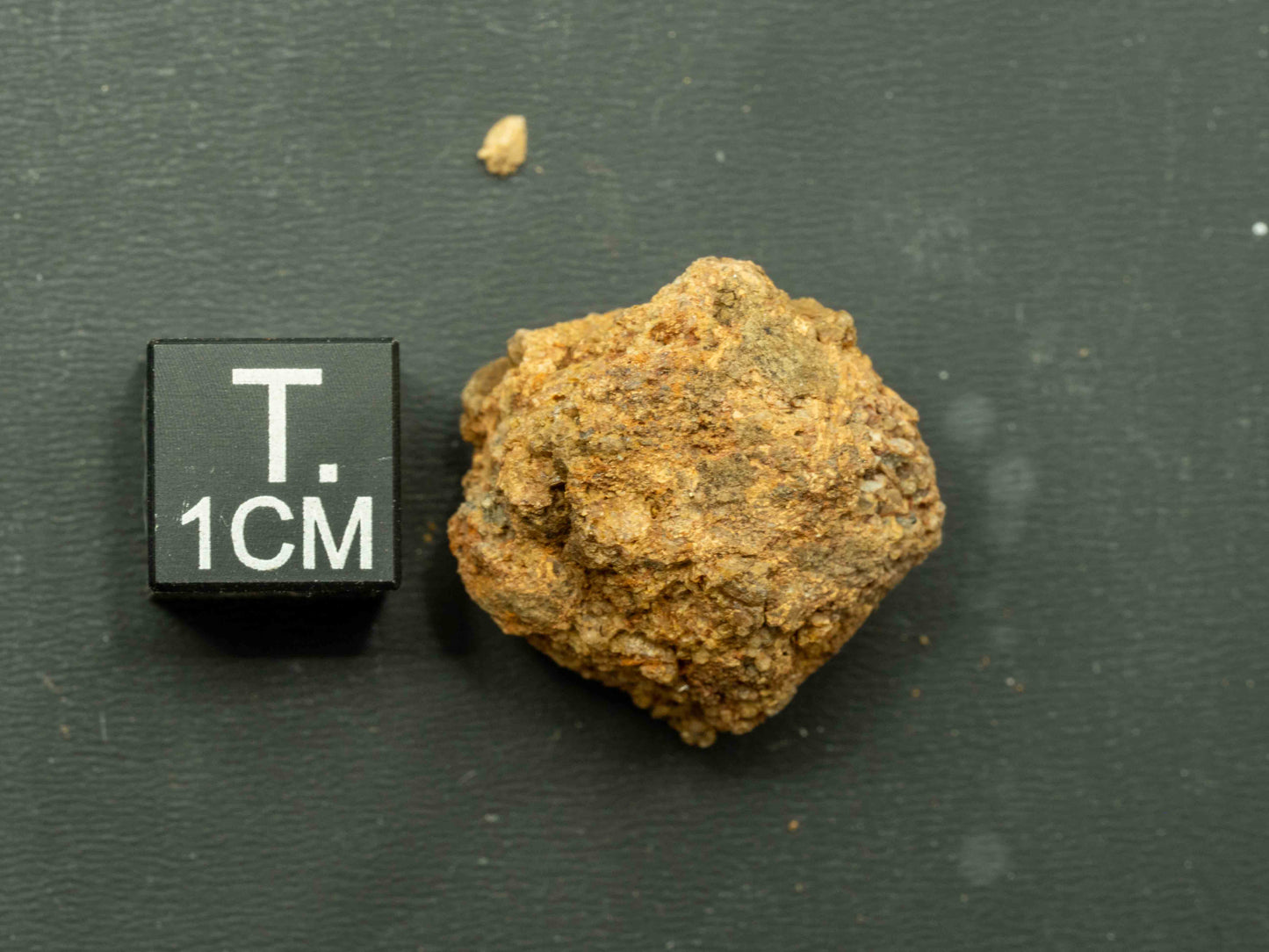 Thorite Crystal - Kemp Prospect, Cardiff, Ontario, Canada