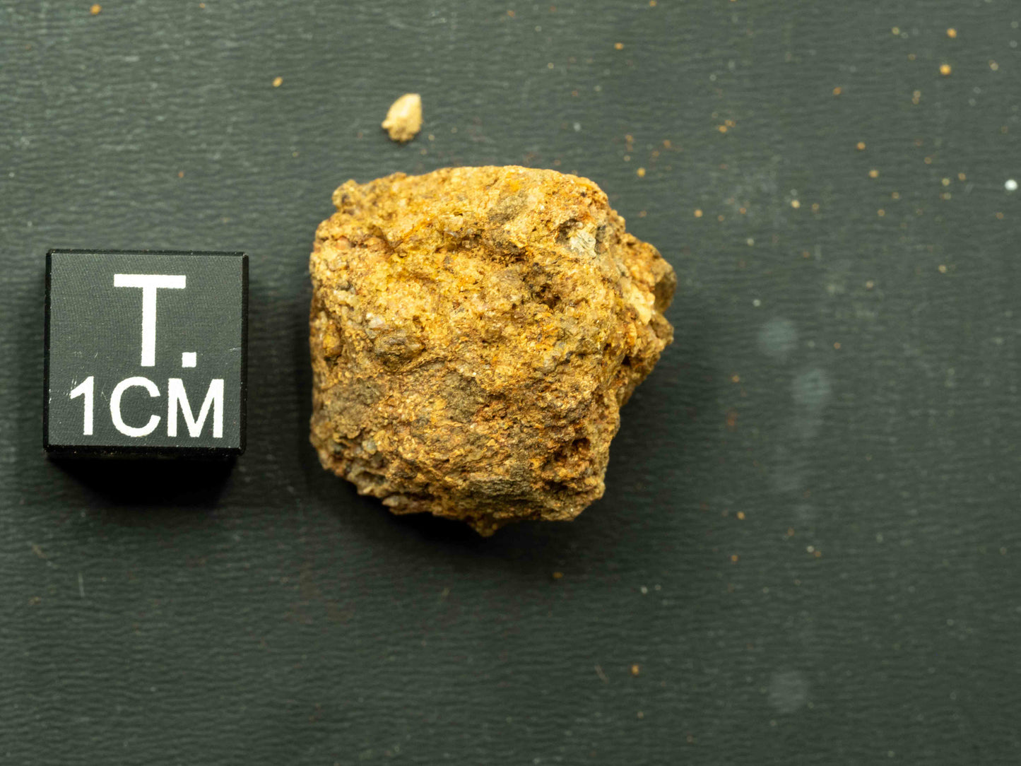 Thorite Crystal - Kemp Prospect, Cardiff, Ontario, Canada