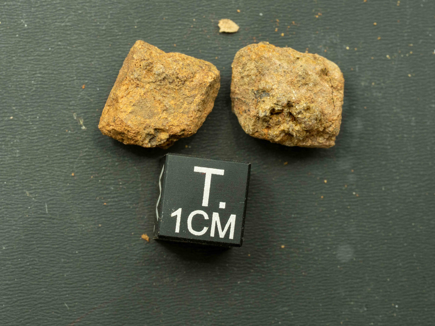 Thorite Crystal - Kemp Prospect, Cardiff, Ontario, Canada