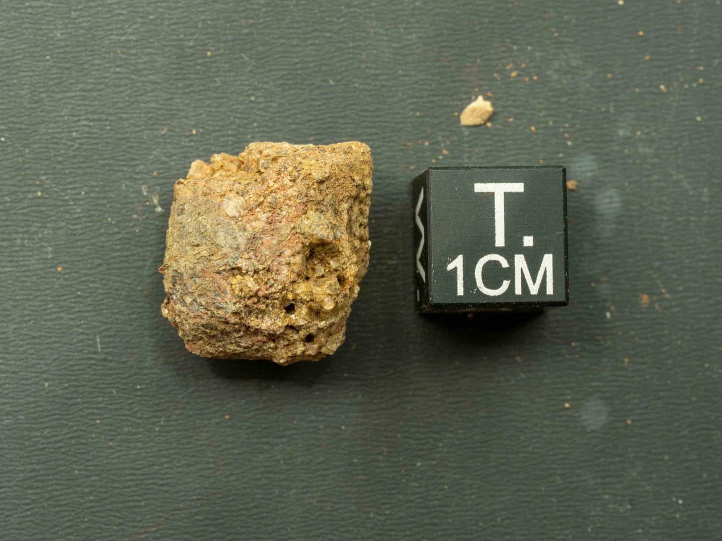 Thorite Crystal - Kemp Prospect, Cardiff, Ontario, Canada