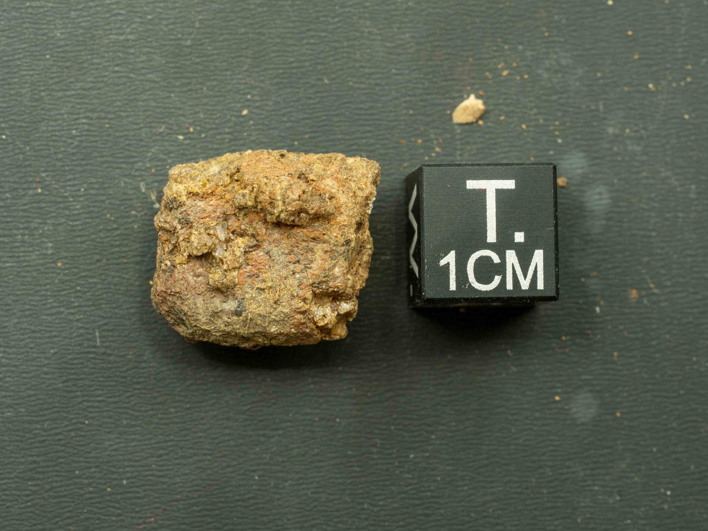 Thorite Crystal - Kemp Prospect, Cardiff, Ontario, Canada