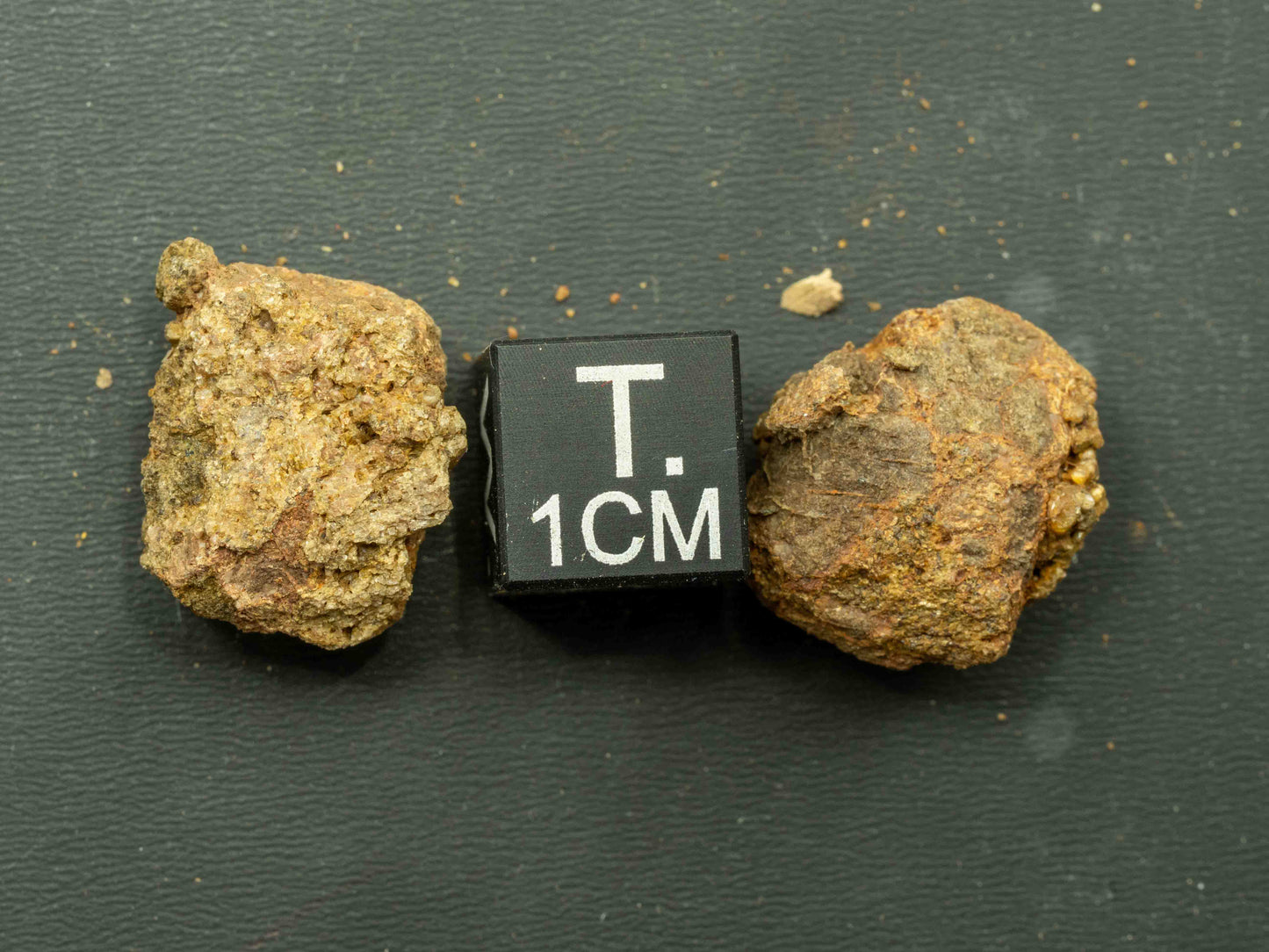 Thorite Crystal - Kemp Prospect, Cardiff, Ontario, Canada