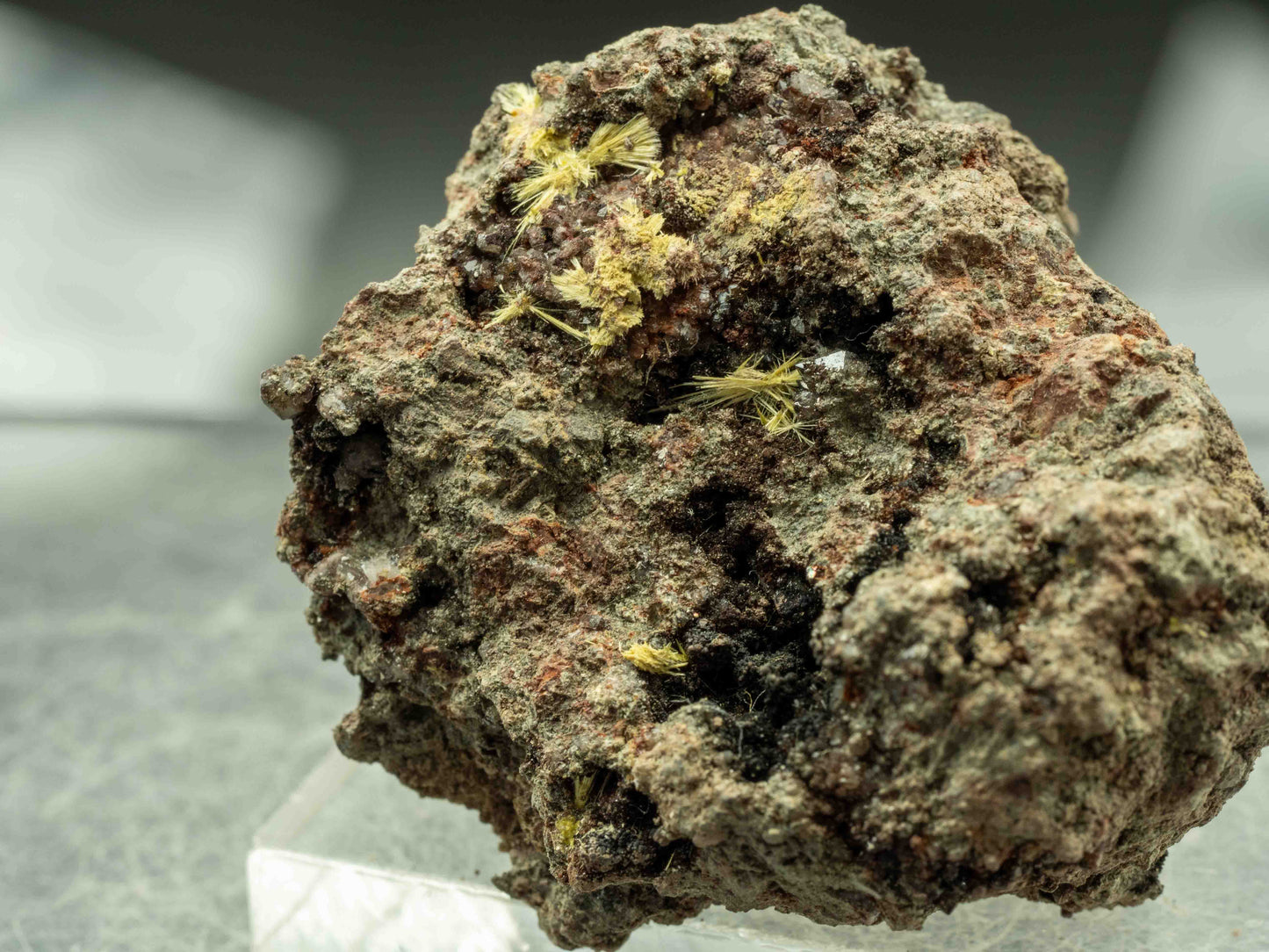 Uranophane - Madawaska Mine (Faraday Mine), Faraday Township, Hastings County, Ontario, Canada