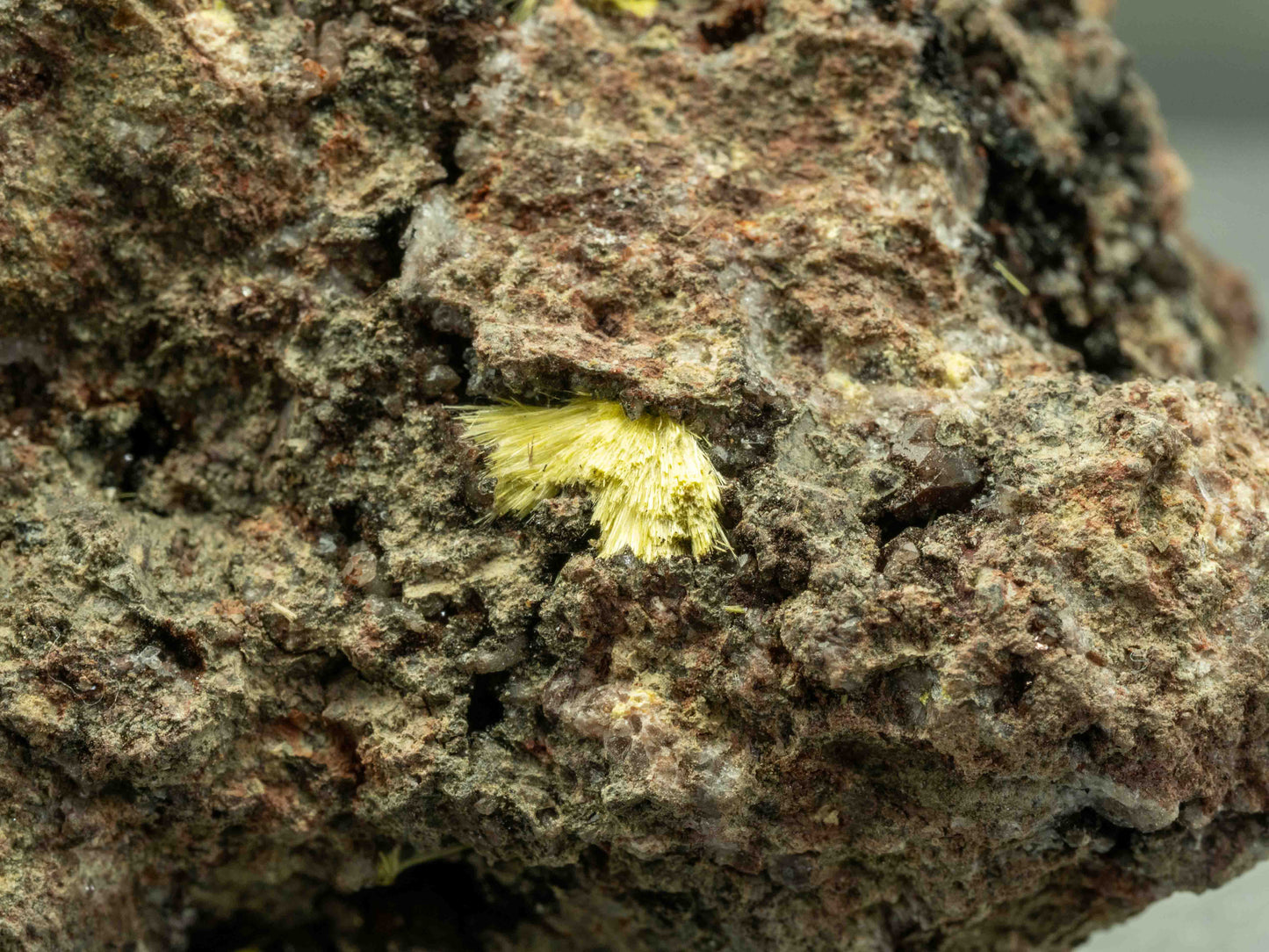 Uranophane - Madawaska Mine (Faraday Mine), Faraday Township, Hastings County, Ontario, Canada