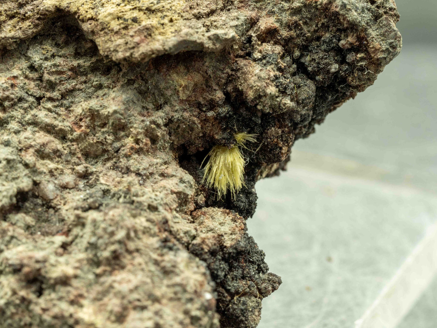 Uranophane - Madawaska Mine (Faraday Mine), Faraday Township, Hastings County, Ontario, Canada