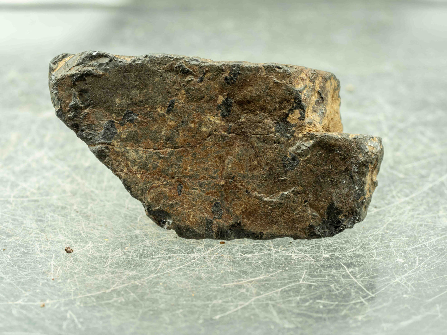 Euxenite - Petaca Mining District, New Mexico, USA