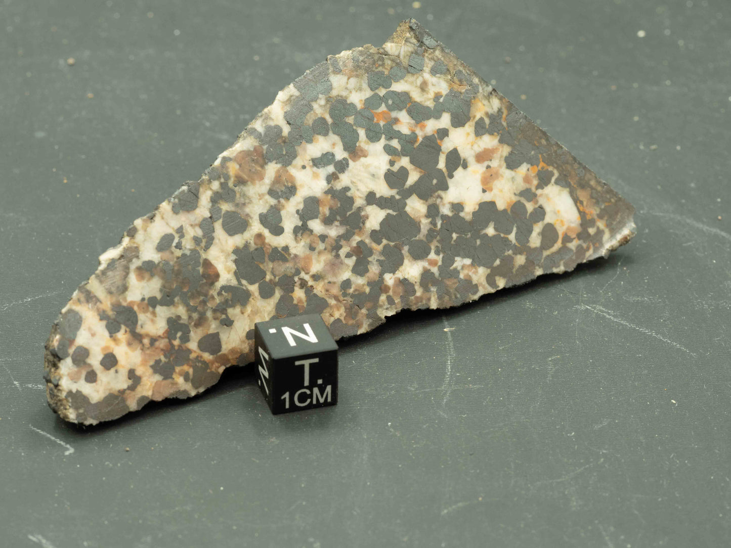 Calcite / Willemite — Sterling Hill Mine, Ogdensburg, New Jersey, USA Cut & Polished Fluorescent Specimen