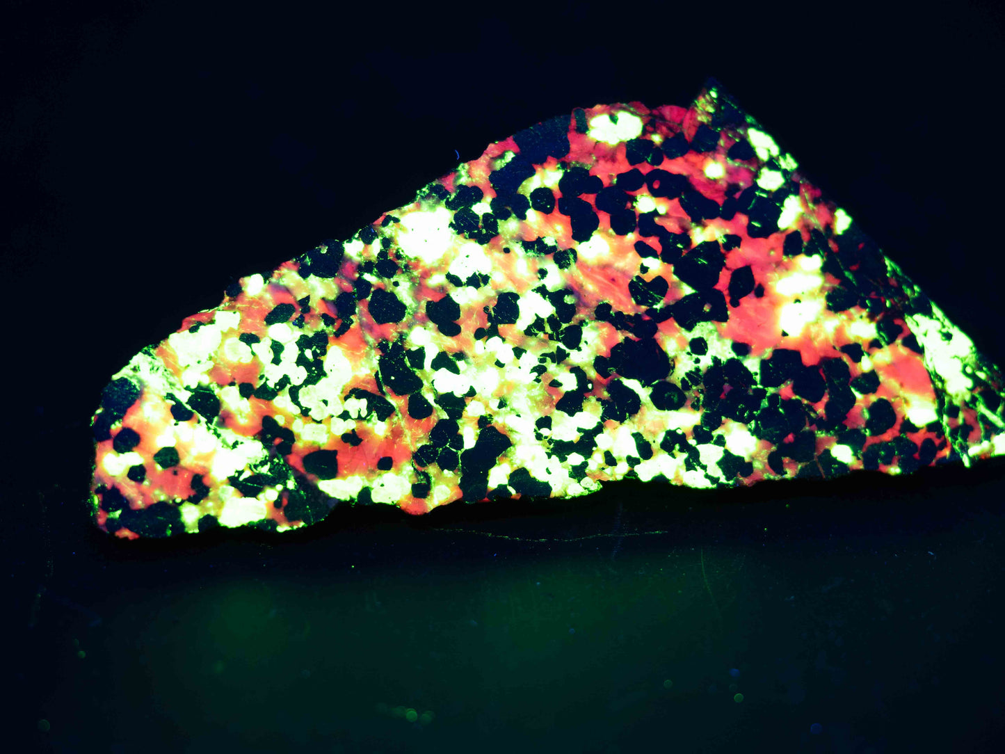 Calcite / Willemite — Sterling Hill Mine, Ogdensburg, New Jersey, USA Cut & Polished Fluorescent Specimen