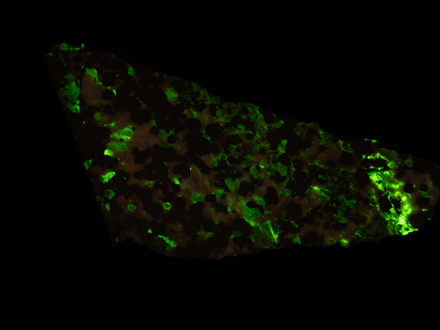 Calcite / Willemite — Sterling Hill Mine, Ogdensburg, New Jersey, USA Cut & Polished Fluorescent Specimen