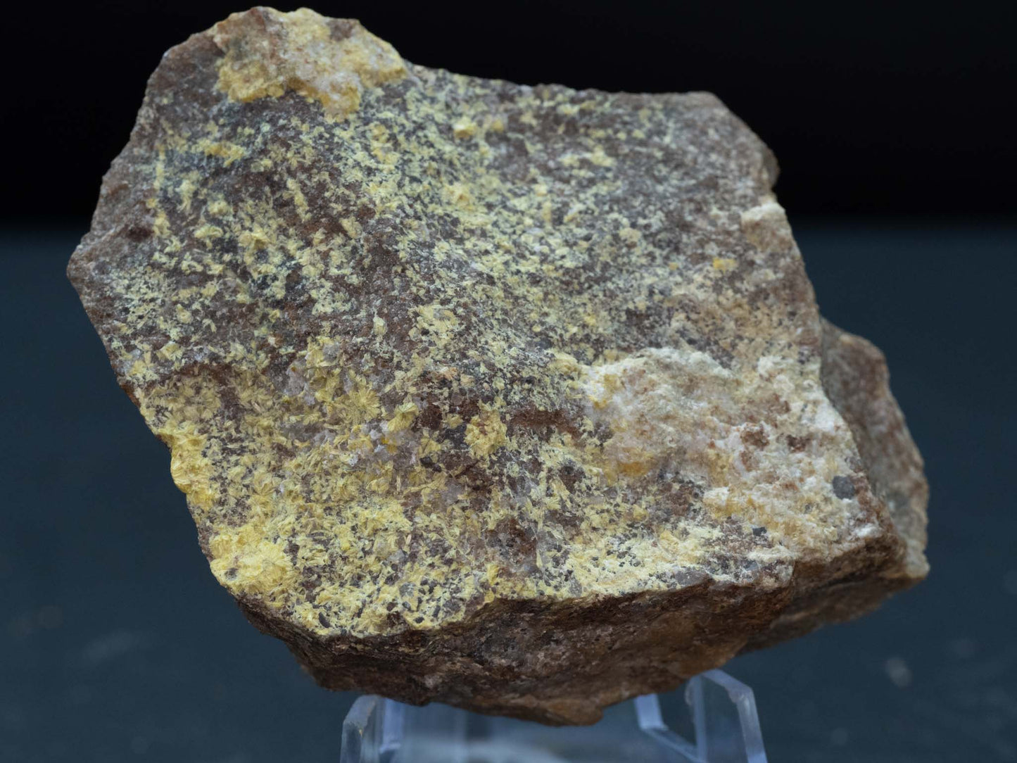 Uranophane (Lambertite) - Lusk, Wyoming, USA