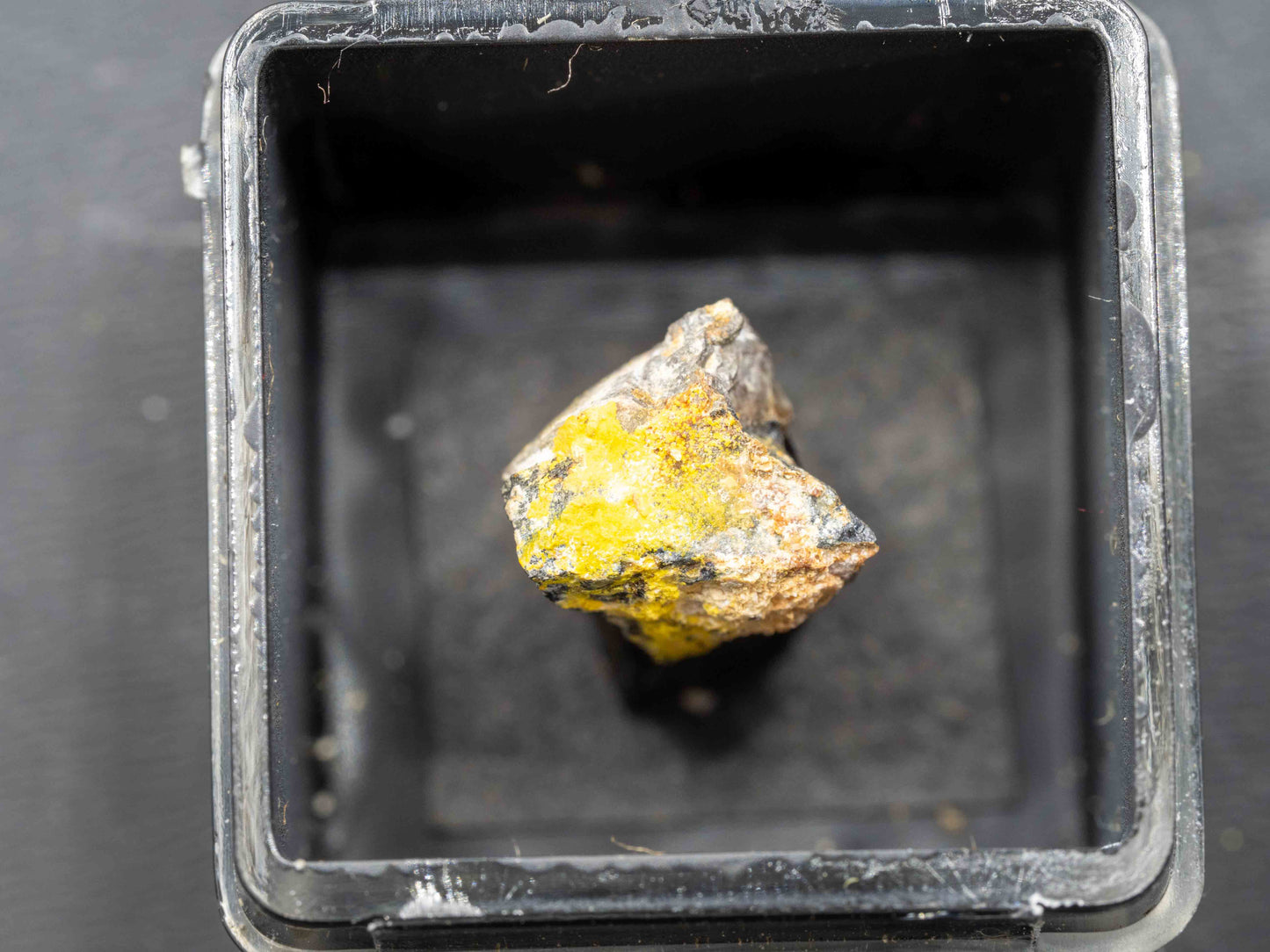 Ranunculite — Kobokobo Pegmatite, South Kivu, Democratic Republic of Congo (Micromount)