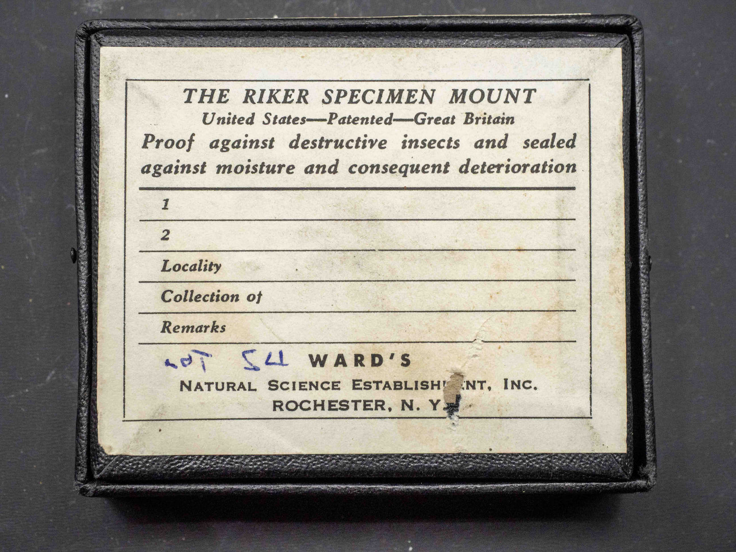 Thorian-Uraninite Crystals — Tory Hill, Haliburton County, Ontario, Canada Classic Riker Mount Set — Ex Ward's Scientific Establishment