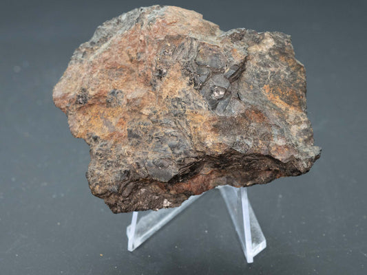 Euxenite-(Y) - Beryl Pit, Quadeville, Ontario, Canada