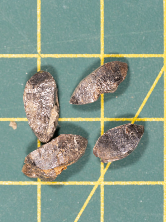 Crytolite Zircon - Saranac Properties, Hastings County, Ontario, Canada