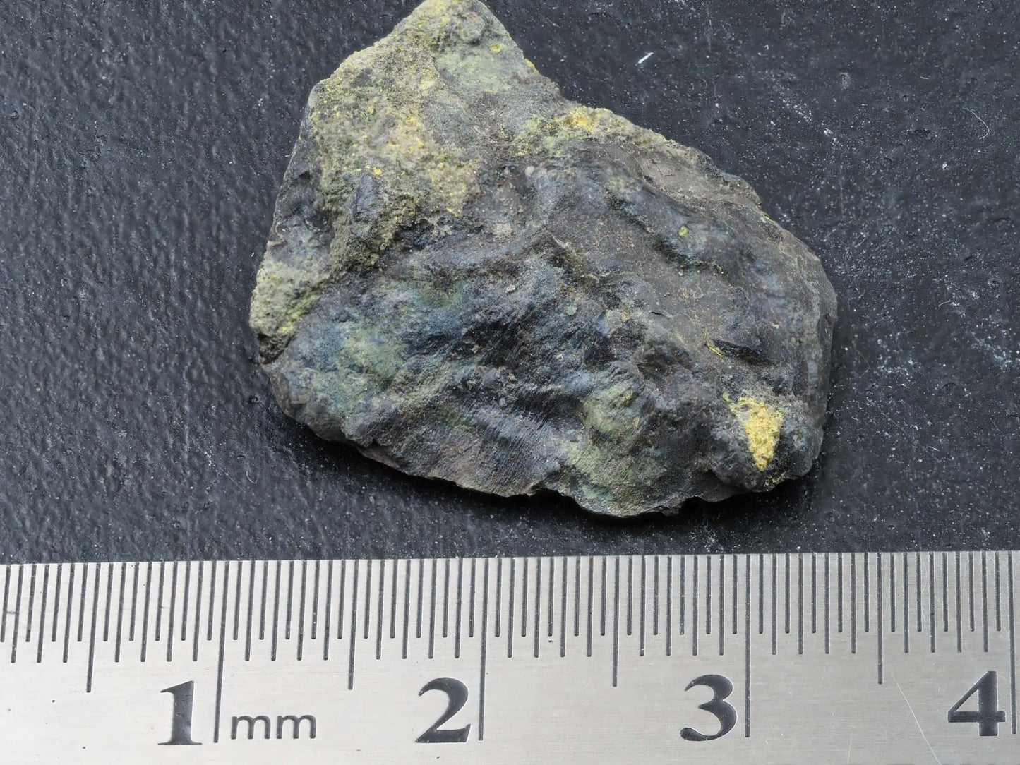 Rauvite, Carnotite, Tyuyamunite & Metahewiettite - Uravan Mineral Belt, Western Colorado, USA