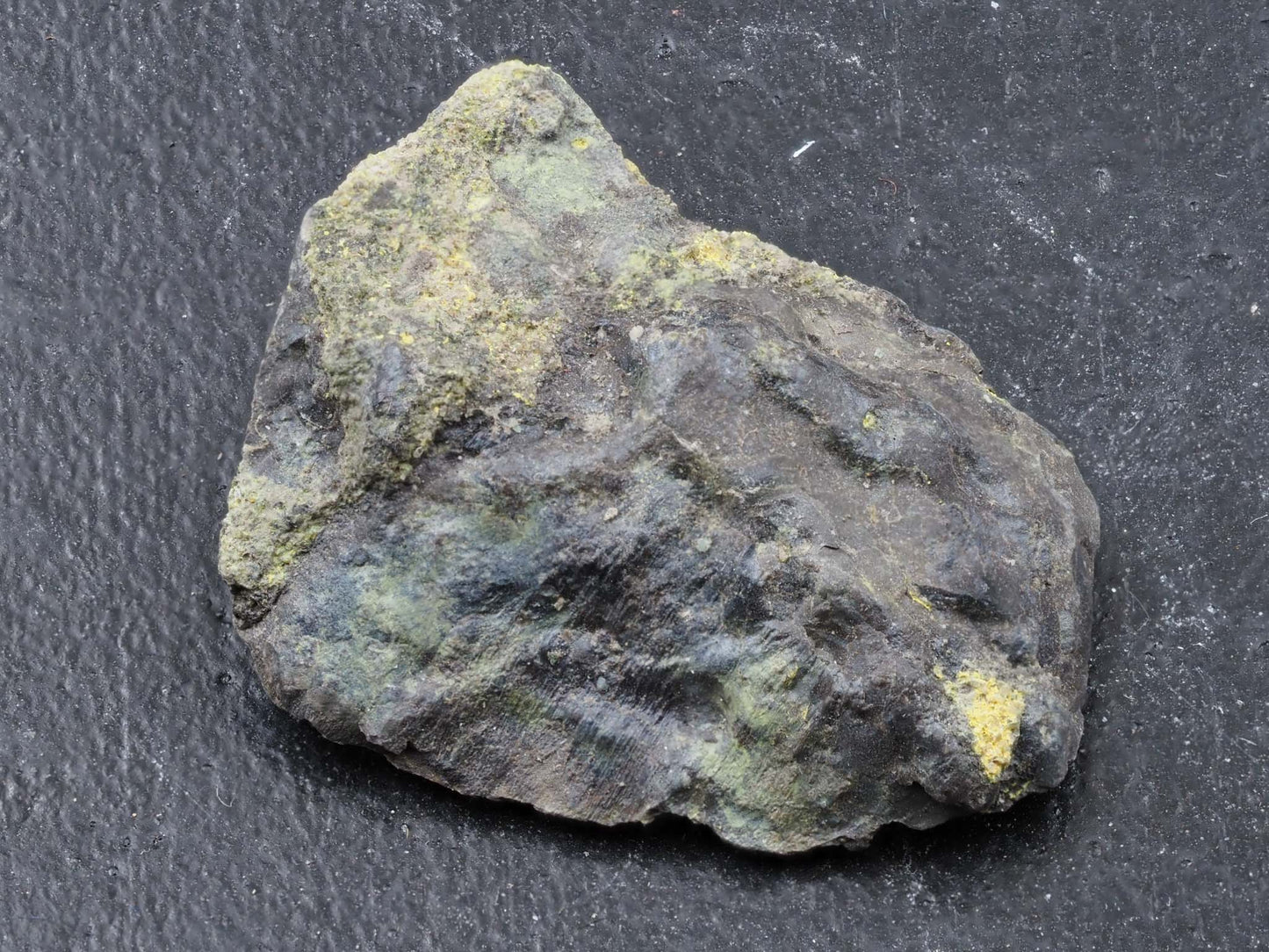 Rauvite, Carnotite, Tyuyamunite & Metahewiettite - Uravan Mineral Belt, Western Colorado, USA