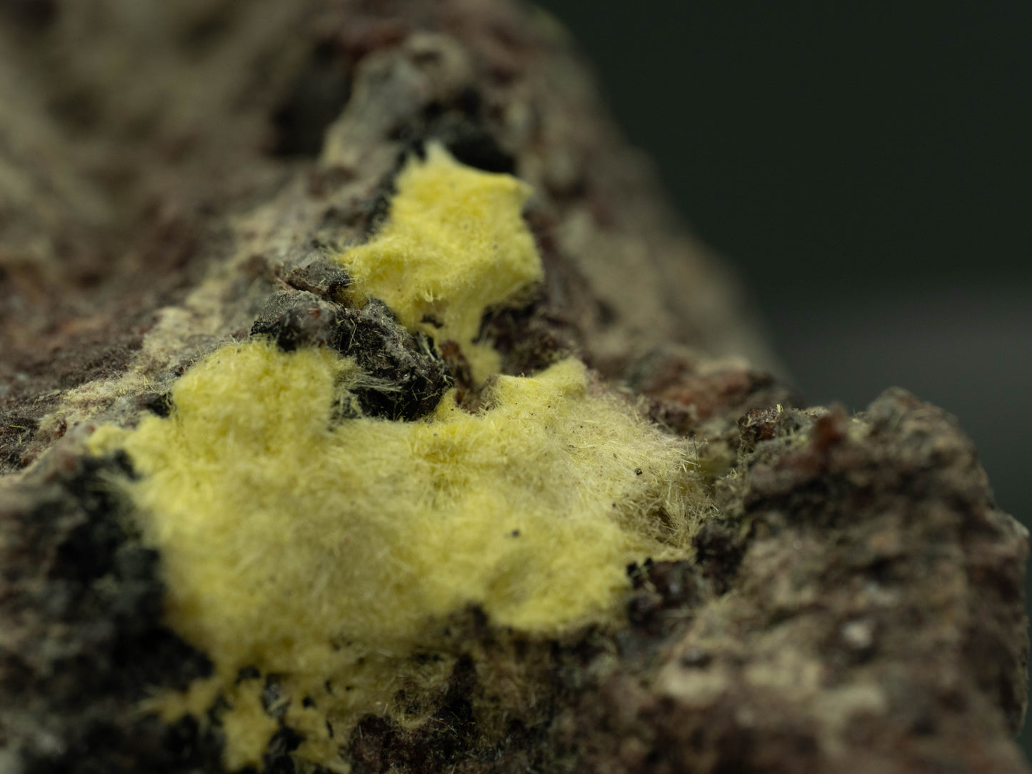 Uranophane - Madawaska (Faraday) Mine, Faraday Township, Hastings County, Ontario, Canada