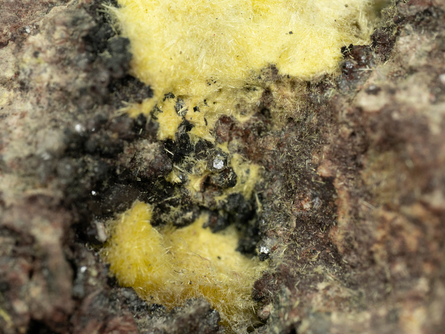Uranophane - Madawaska (Faraday) Mine, Faraday Township, Hastings County, Ontario, Canada