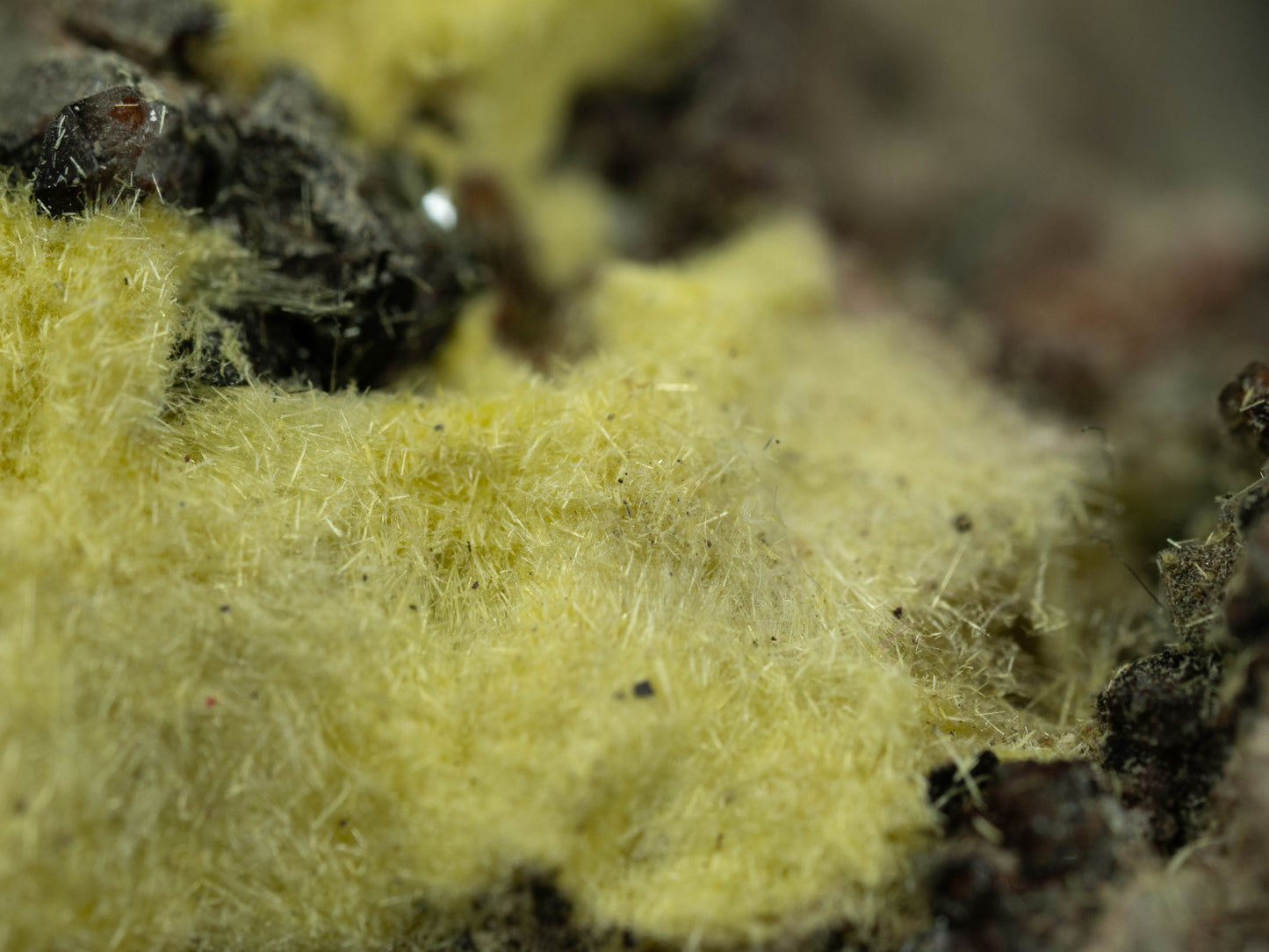 Uranophane - Madawaska (Faraday) Mine, Faraday Township, Hastings County, Ontario, Canada