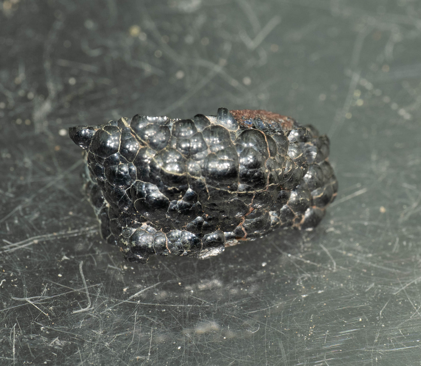 (Micromount) Uraninite - Shaft #3, Příbram, Czech Republic