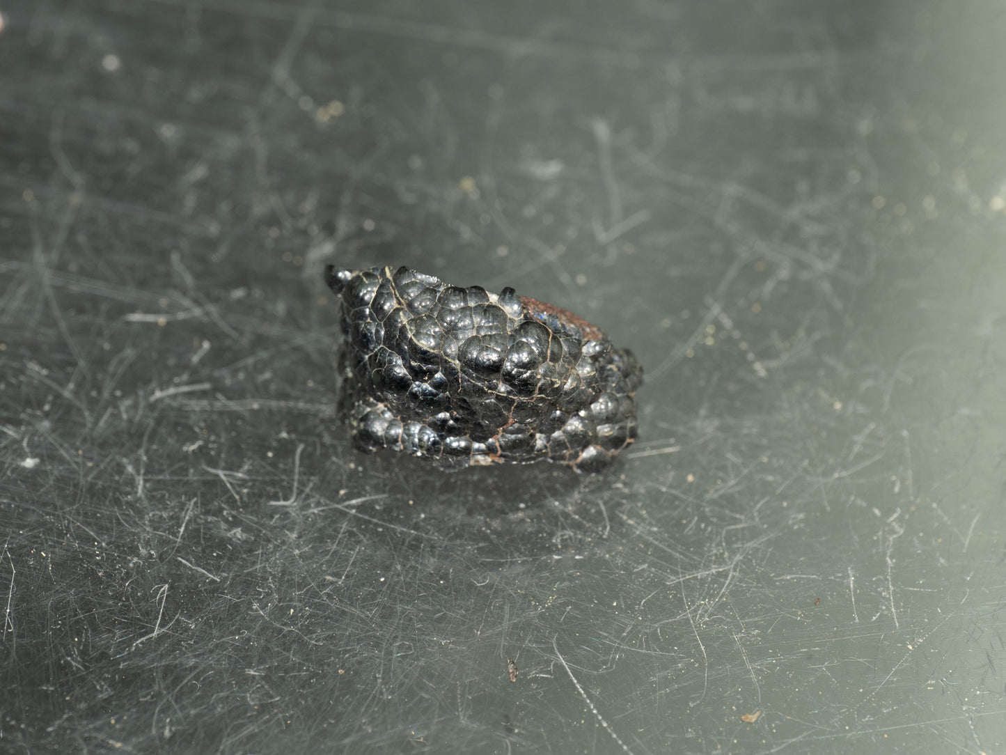 (Micromount) Uraninite - Shaft #3, Příbram, Czech Republic