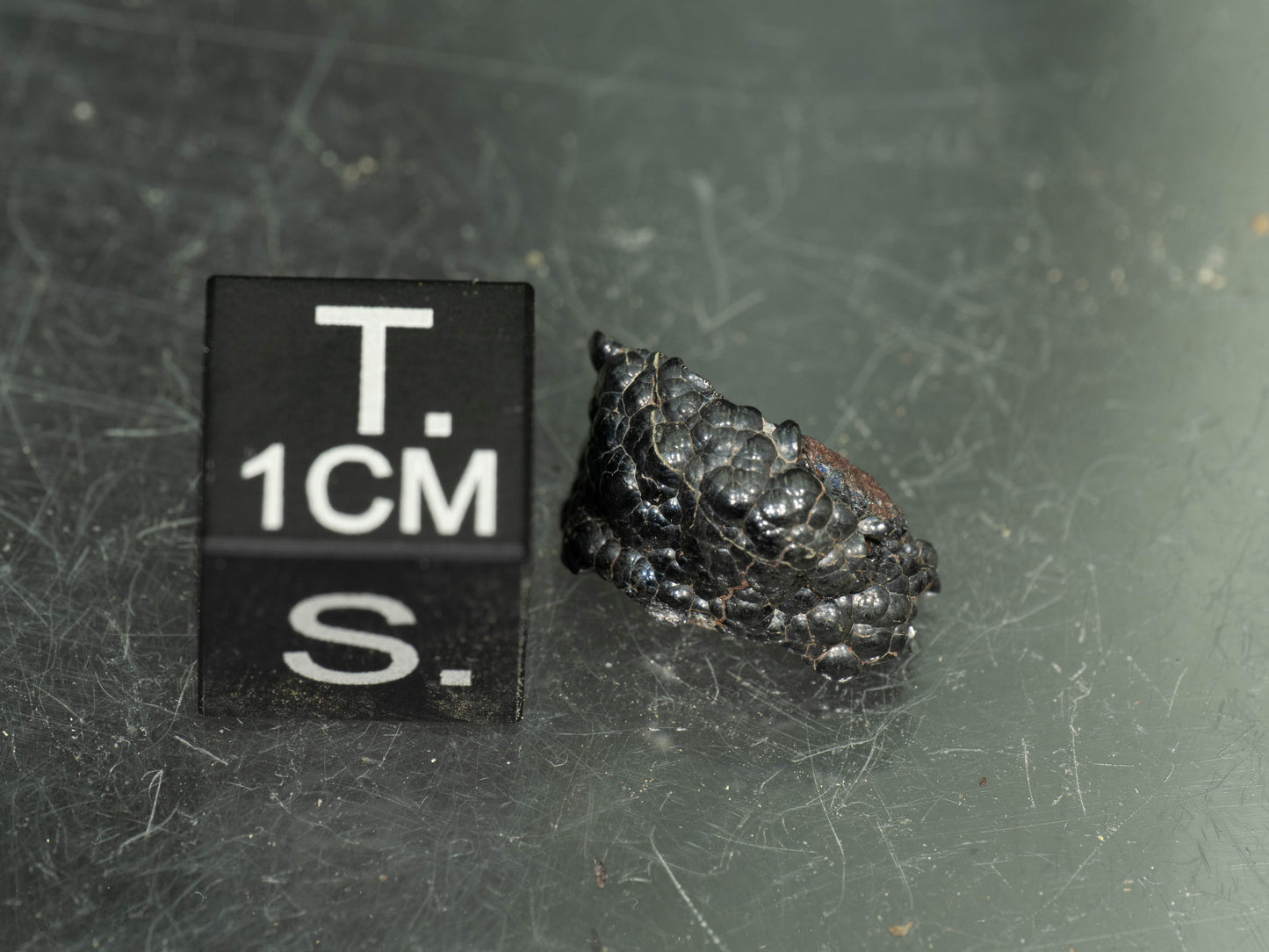 (Micromount) Uraninite - Shaft #3, Příbram, Czech Republic