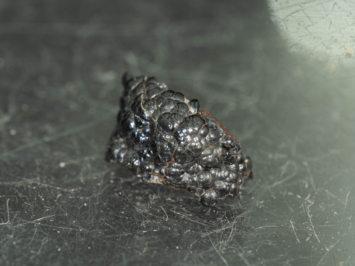 (Micromount) Uraninite - Shaft #3, Příbram, Czech Republic